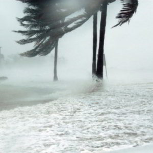 The Importance of Hurricane Insurance for Your Florida Business