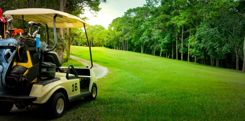 Person Driving A Golf Cart On A Path