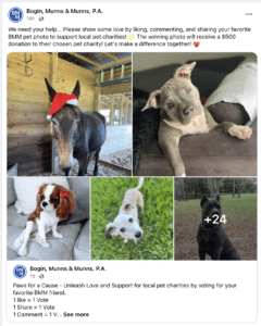 🐾 Paws for a Cause Pet Photo Contest 🐾